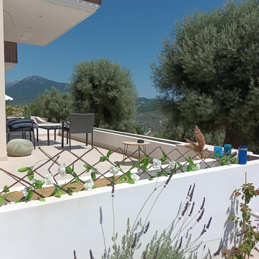 Kotseris Luxury Villas, Jiovanni Villa & Angelina Villa Sivota  Exterior photo